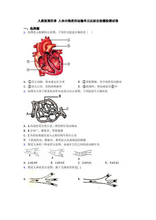 人教版第四章 人体内物质的运输单元达标自检题检测试卷