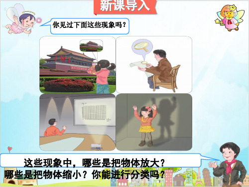 六年级上册数学 图形的放大与缩小丨浙教版 1