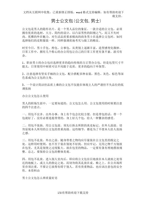 男士公文包(公文包,男士)