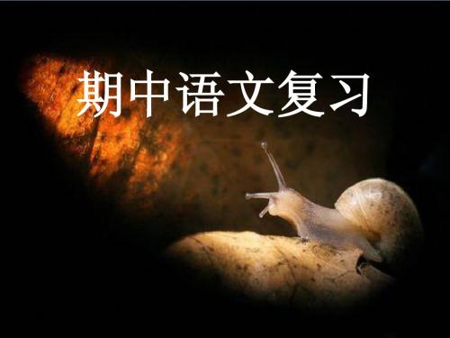 人教版八年级下语文期中复习