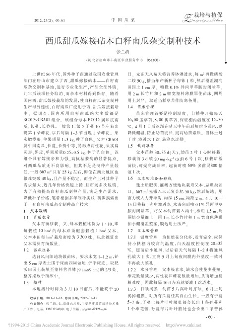 西瓜甜瓜嫁接砧木白籽南瓜杂交制种技术_张兰清