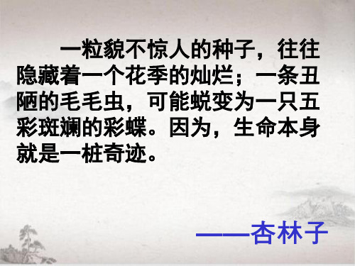 语文人教四年级下册 -生命  生命-课件1