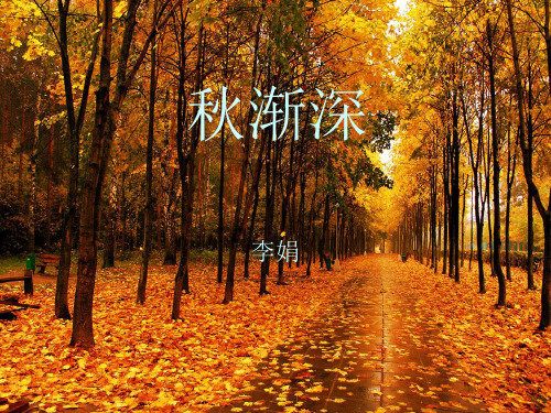秋渐深