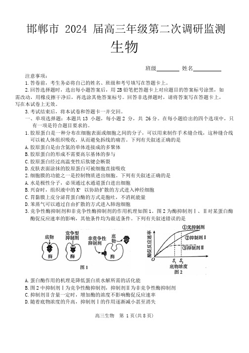 2024届河北省邯郸市高三上学期第二次调研监测生物试题及答案