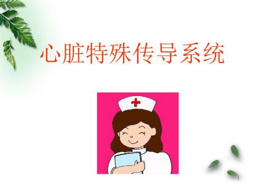心脏传导系统医学PPT课件