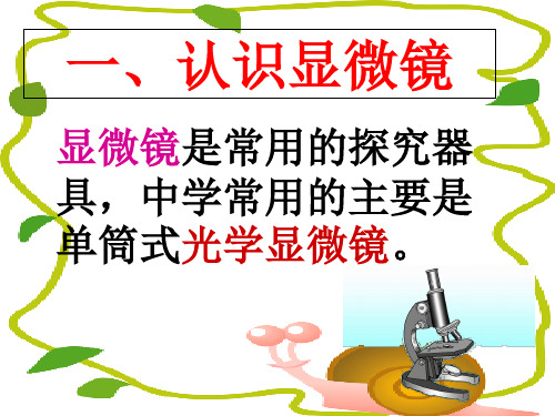 冀少版生物七(上)走进生物实验室优秀课件下载