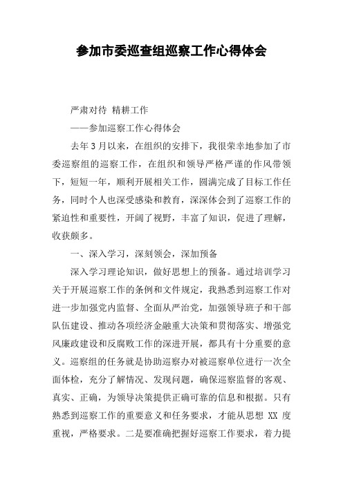 参加市委巡查组巡察工作心得体会