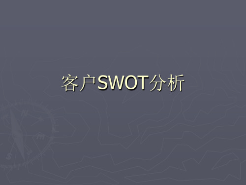 客户SWOT分析