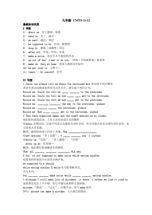 新课标备战中考专项突破复习学案九年级