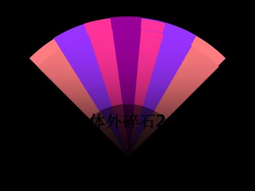 体外碎石2ppt课件