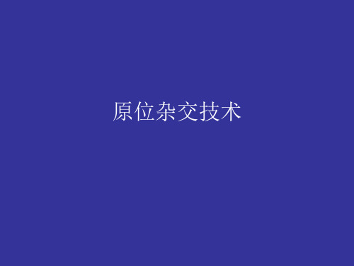 07原位杂交技术