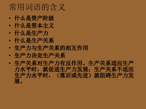 中考历史总复习民生问题PPT