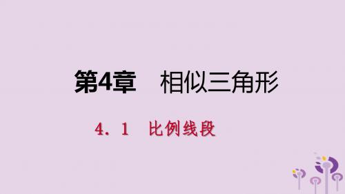 九年级数学上册 第4章 相似三角形 4.1 比例线段 第2课