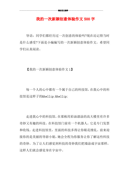 我的一次新颖创意体验作文500字