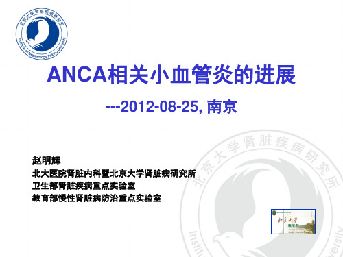 3.赵明辉-ANCA相关小血管炎的进展