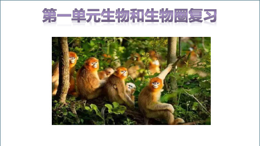 人教版七年级上册第一单元生物和生物圈  复习课件 (共25张PPT)