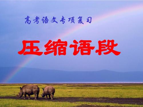 高考语文专项复习：压缩语段