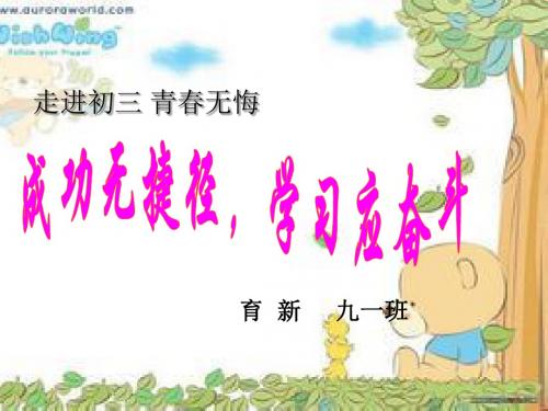 《成功无捷径 学习应奋斗》课件(共21张PPT)
