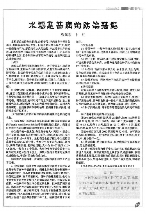 水稻恶苗病的防治措施