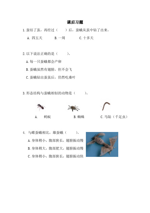 【科学】【新教材】(教科版)小学科学三年级下册《茧中钻出了蚕蛾》课后习题附答案