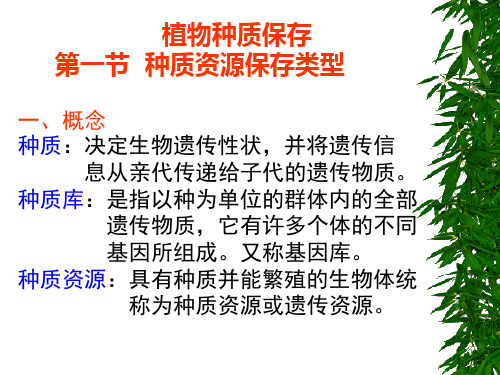 6种质资源保存