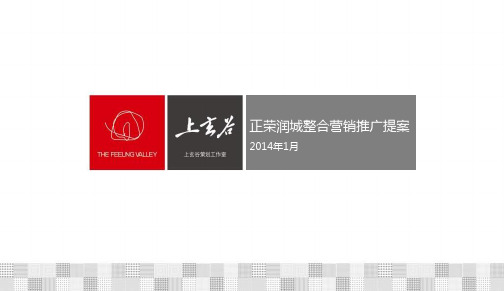 正荣润城整合营销推广提案