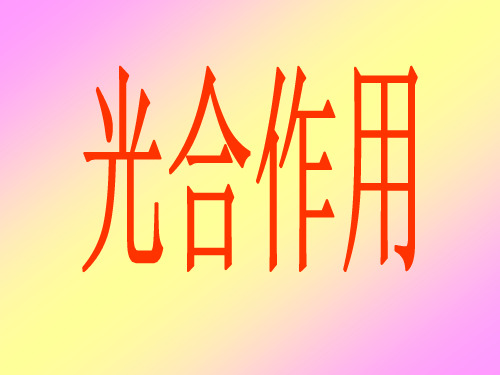 初中生物课件—光合作用
