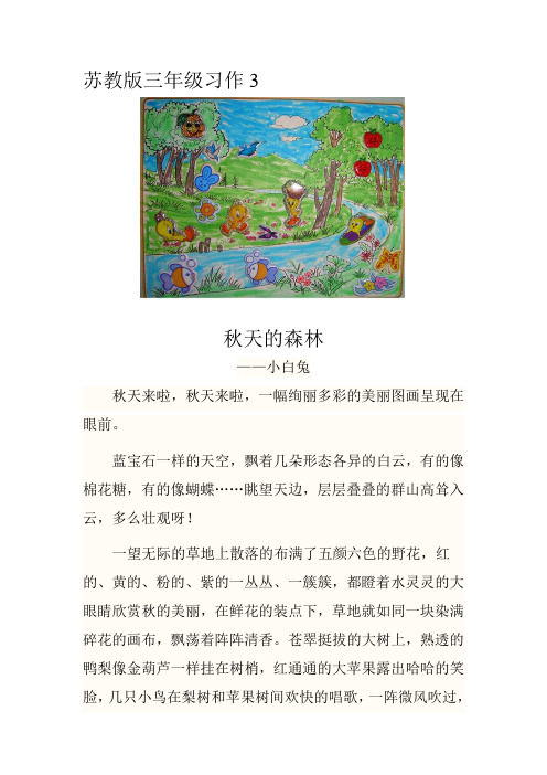 苏教版习作3 秋天的森林