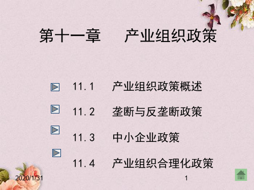 产业组织政策概论(PPT 54页)