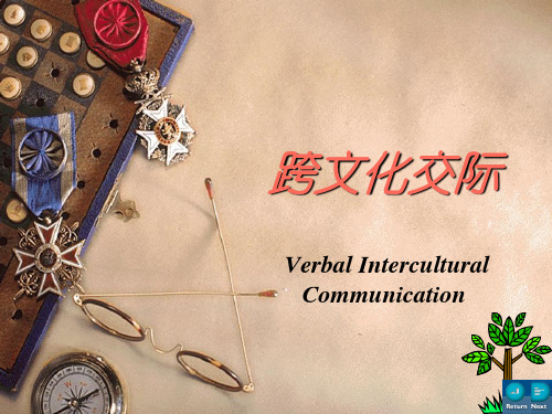 chapter 8 Verbal Intercultural Communication