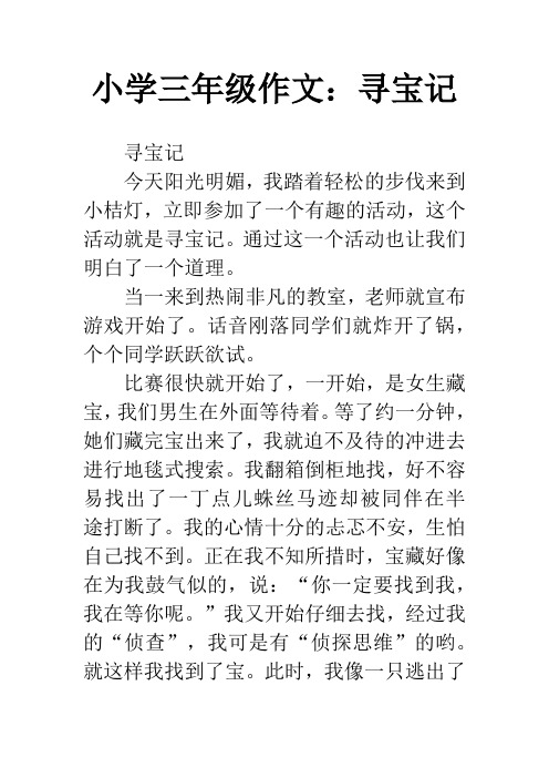 小学三年级作文：寻宝记