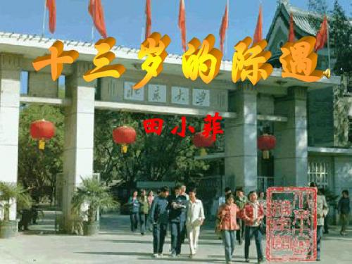 《十三岁的际遇》