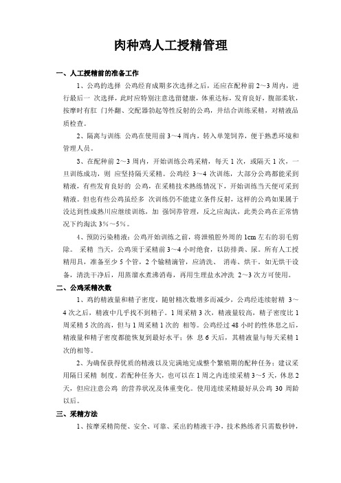 鸡人工授精