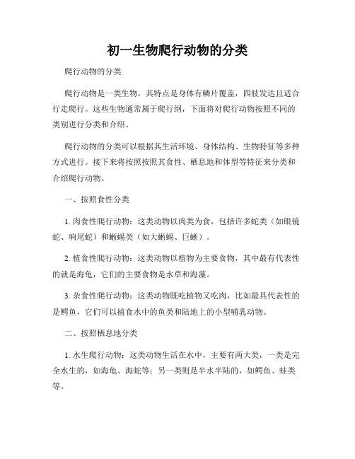 初一生物爬行动物的分类