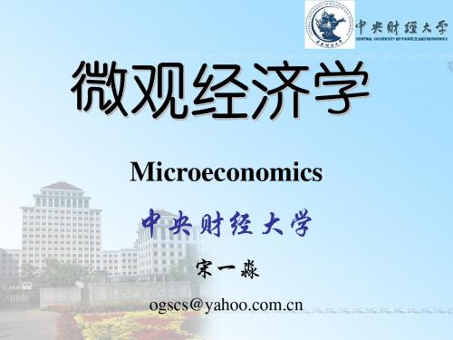 微观经济学 第七版 丹尼尔 罗伯特 中央财经大学 chapter 02【精选】