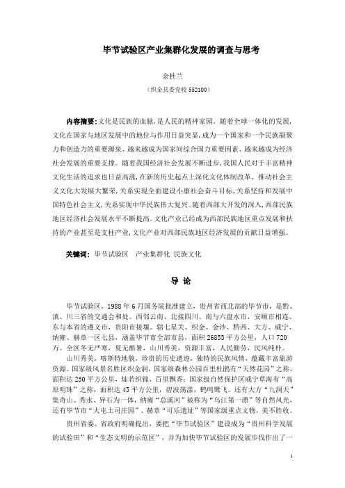 毕节试验区产业集群化发展的调查与思考