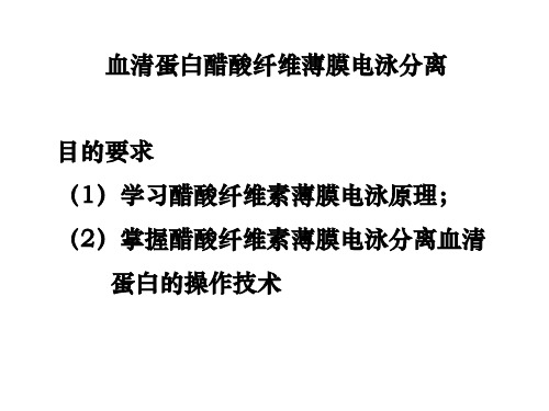 实验四血清醋酸纤维薄膜电泳