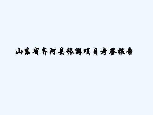 山东省齐河县旅游项目考察报告123