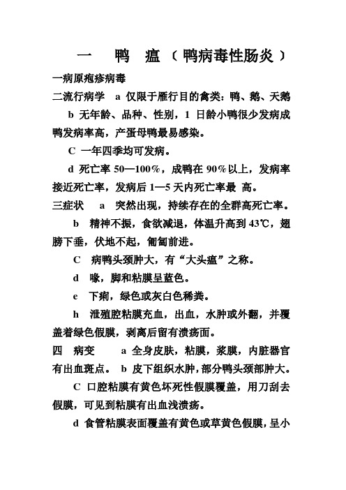 我的鸭病整理资料