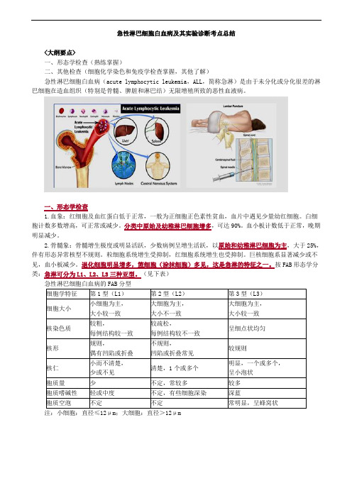 急性淋巴细胞白血病及其实验诊断考点总结