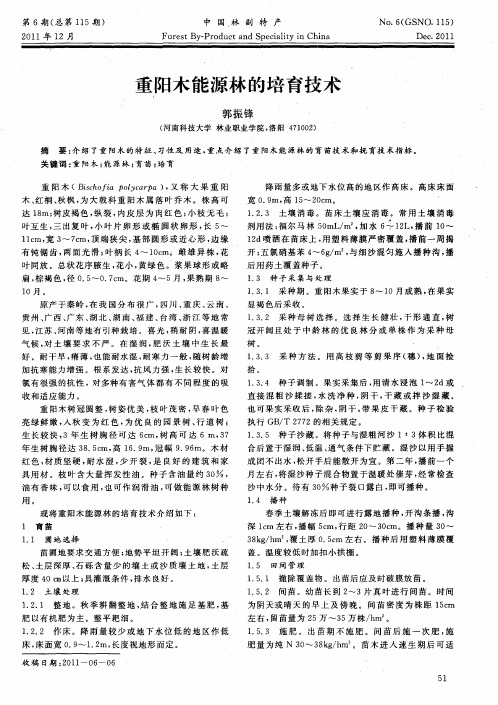 重阳木能源林的培育技术