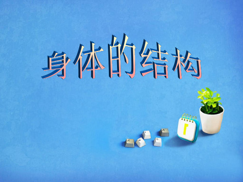 四年级科学上册说课课件-4.1 身体的结构｜教科版(共29张PPT)