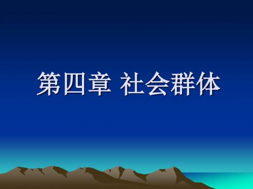 第四章 社会群体
