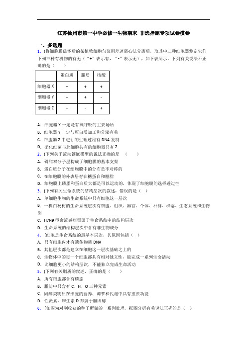江苏徐州市第一中学必修一生物期末 非选择题专项试卷模卷