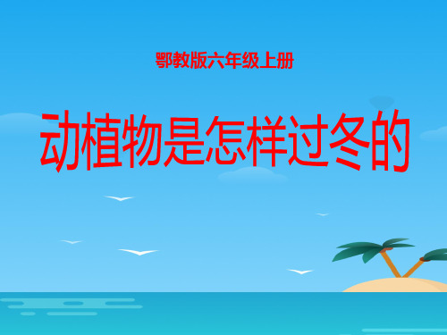 《动植物是怎样过冬的》四季中的变化PPT课件[优秀课件资料]