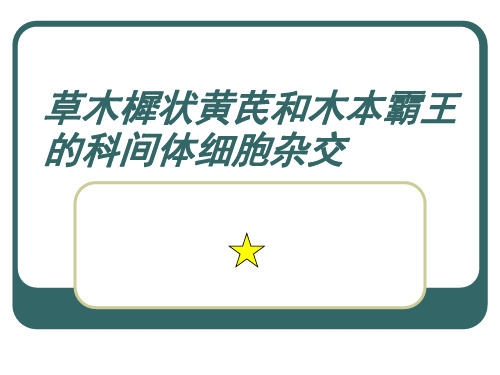 植物细胞融合