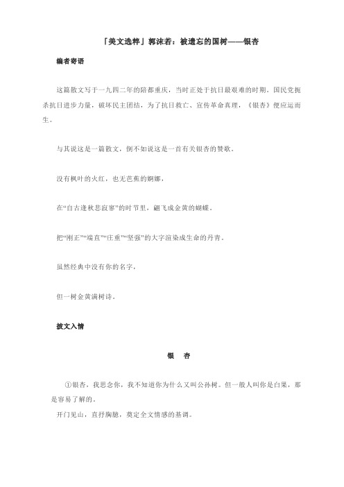作文好素材：郭沫若：被遗忘的国树——银杏