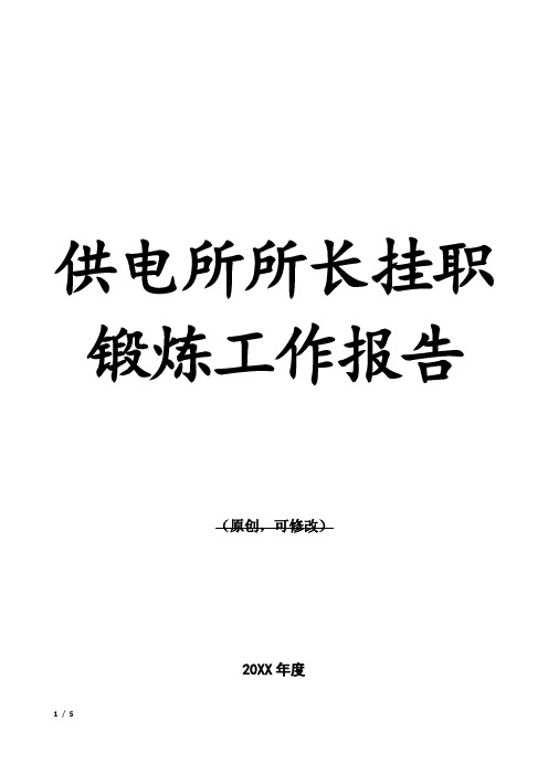 供电所所长挂职锻炼工作报告3