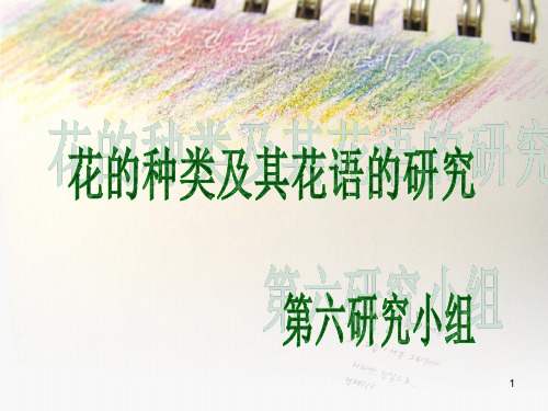 研究性学习花的种类及其花语的研究(课堂PPT)
