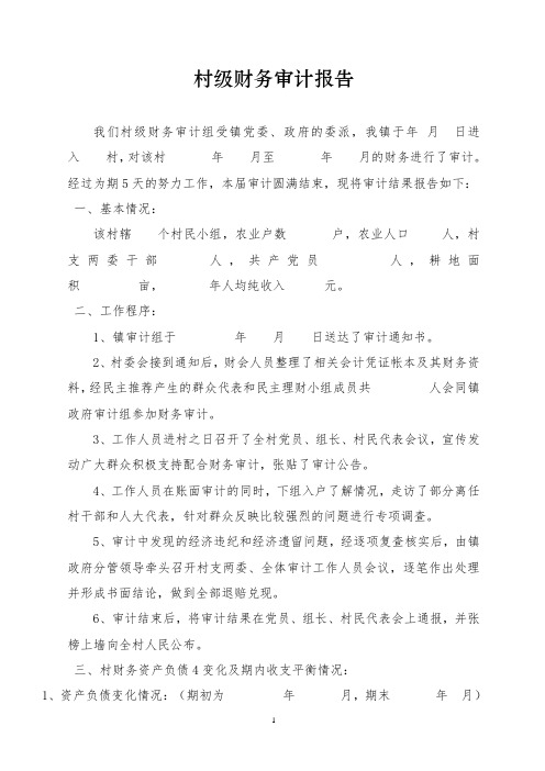 乡村财务审计报告